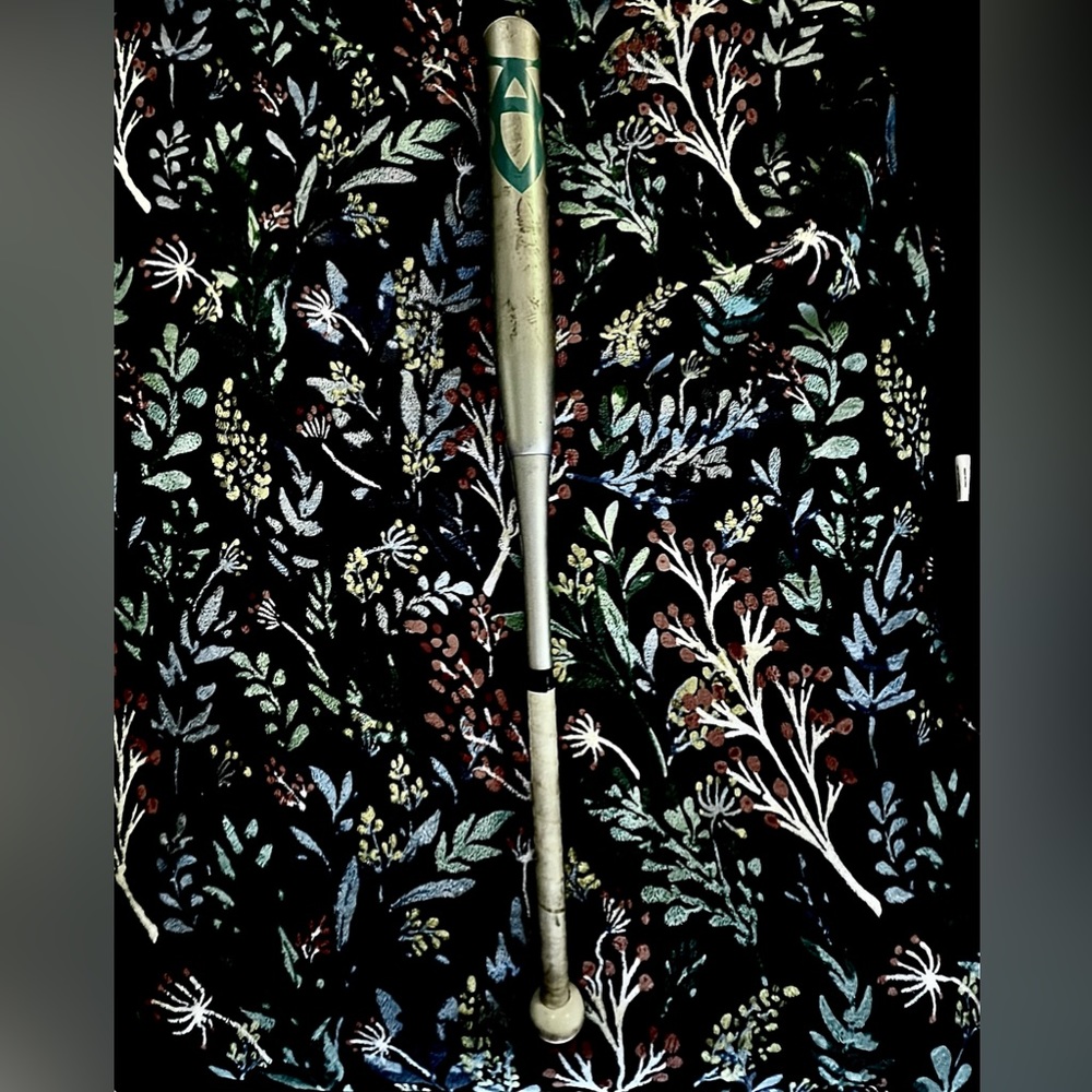 DeMarini Nihilist Dale Brungardt 12" Endload USA Slow Pitch Bat: WTDXNID22